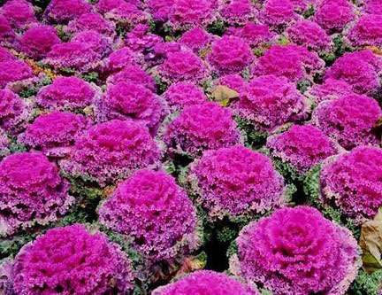 jpg 53_130308124244_1.jpg