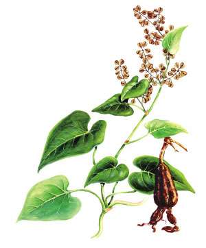 jpg W020100623508970546552.jpg