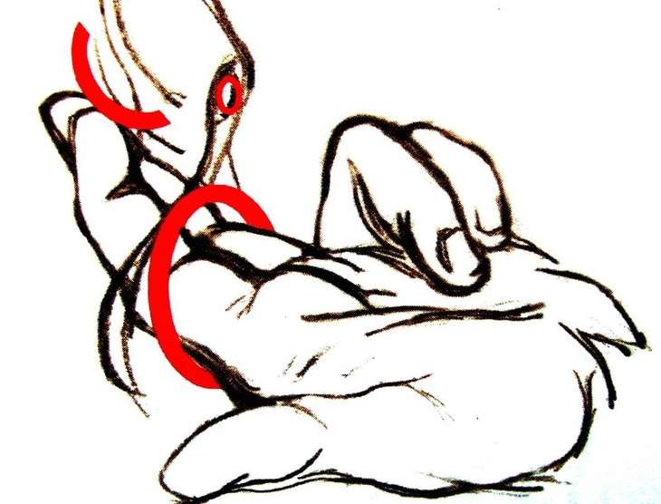 g点高潮