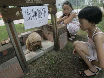 无性别公厕,美女被偷窥?