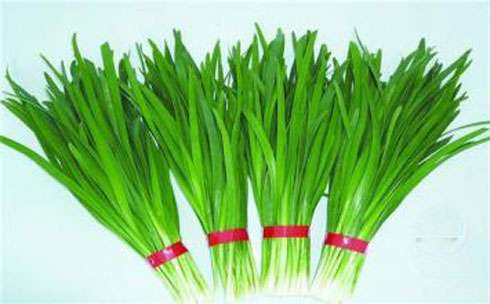 “u=791596927,4216050627&fm=21&gp=0”为智能对象-1.jpg