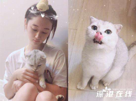 艳势番之新青年席仙儿是谁演的- 郭晓婷个人作品介绍 角色介绍
