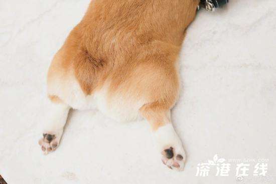 凉生我们可不可以不忧伤饰程天恩谁演的-于朦胧个人资料介绍