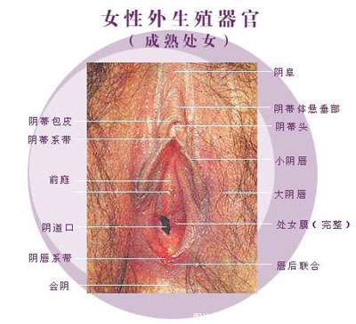 33507413_2.jpg