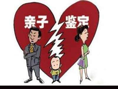 亲子鉴定的条件
