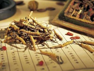 哪些草药壮阳补肾