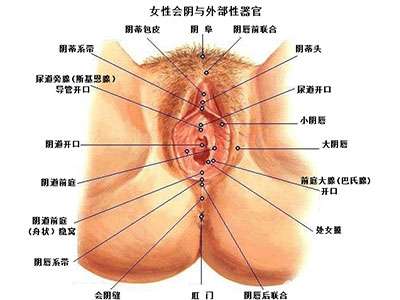 未标题-1.jpg