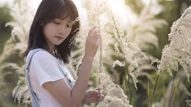 平胸女研究生