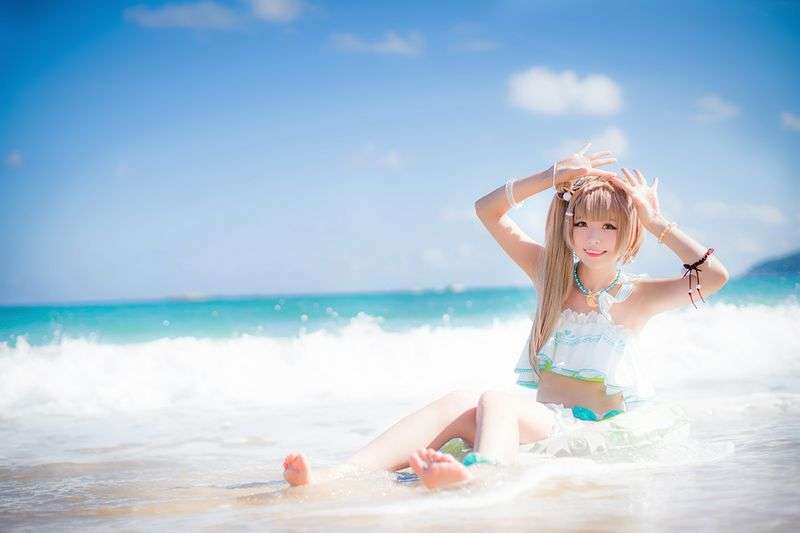 海边的南小鸟