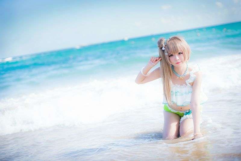 海边的南小鸟