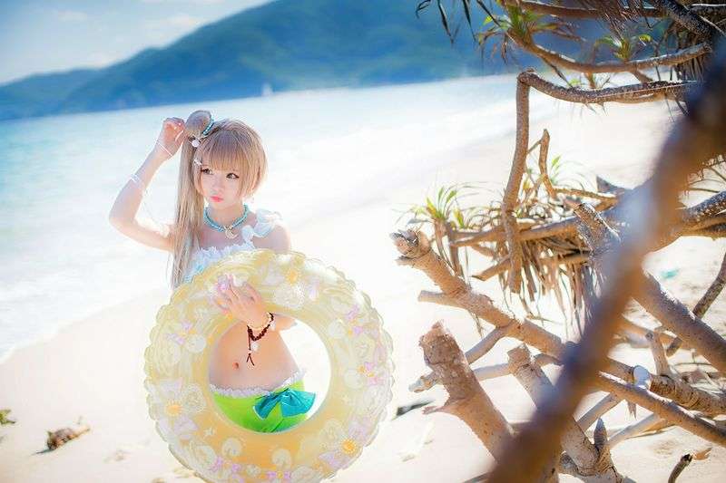 海边的南小鸟