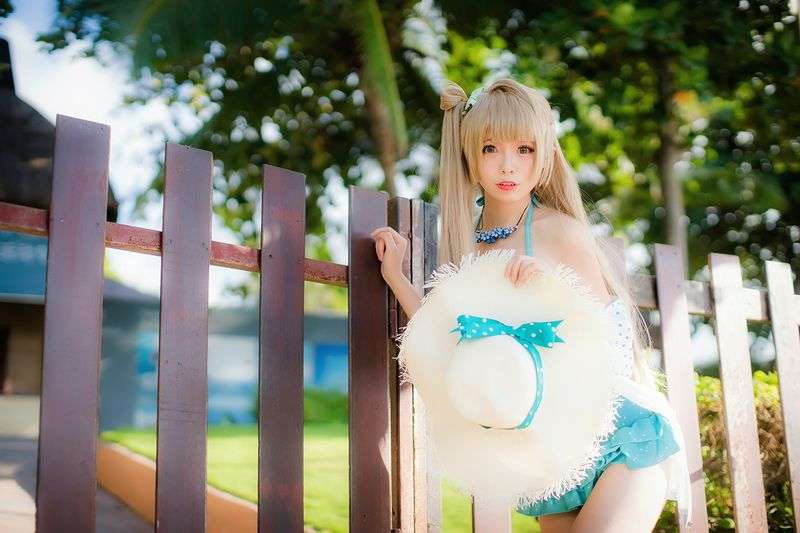 海边的南小鸟