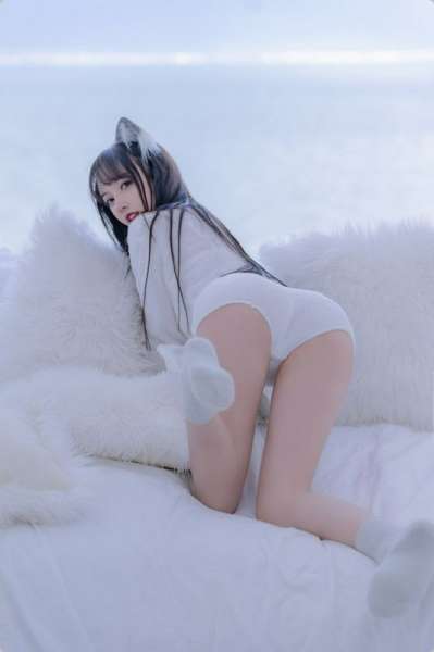 小白狼
