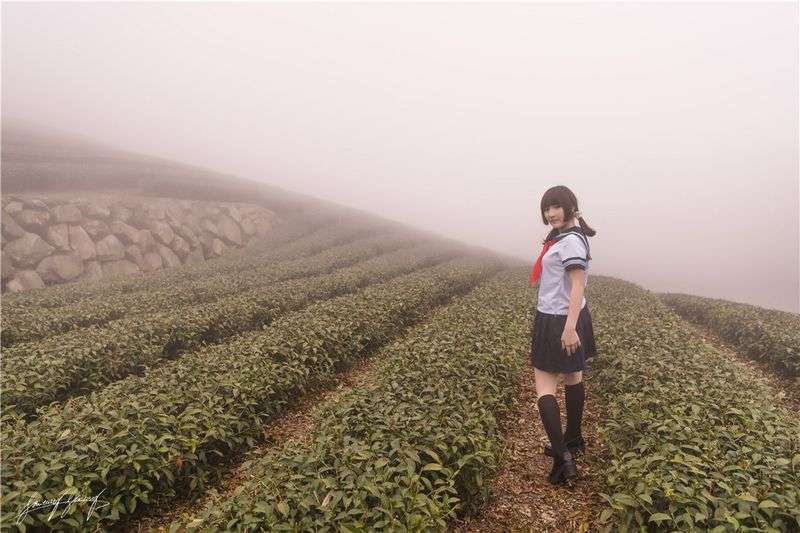慾茶园