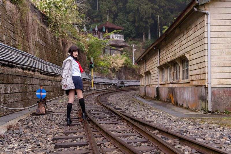 慾茶园